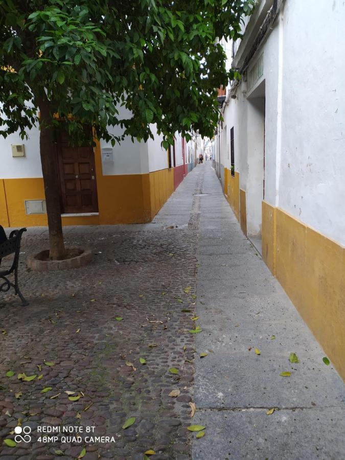 Alojamiento Casa Tipica De Córdoba Exteriér fotografie