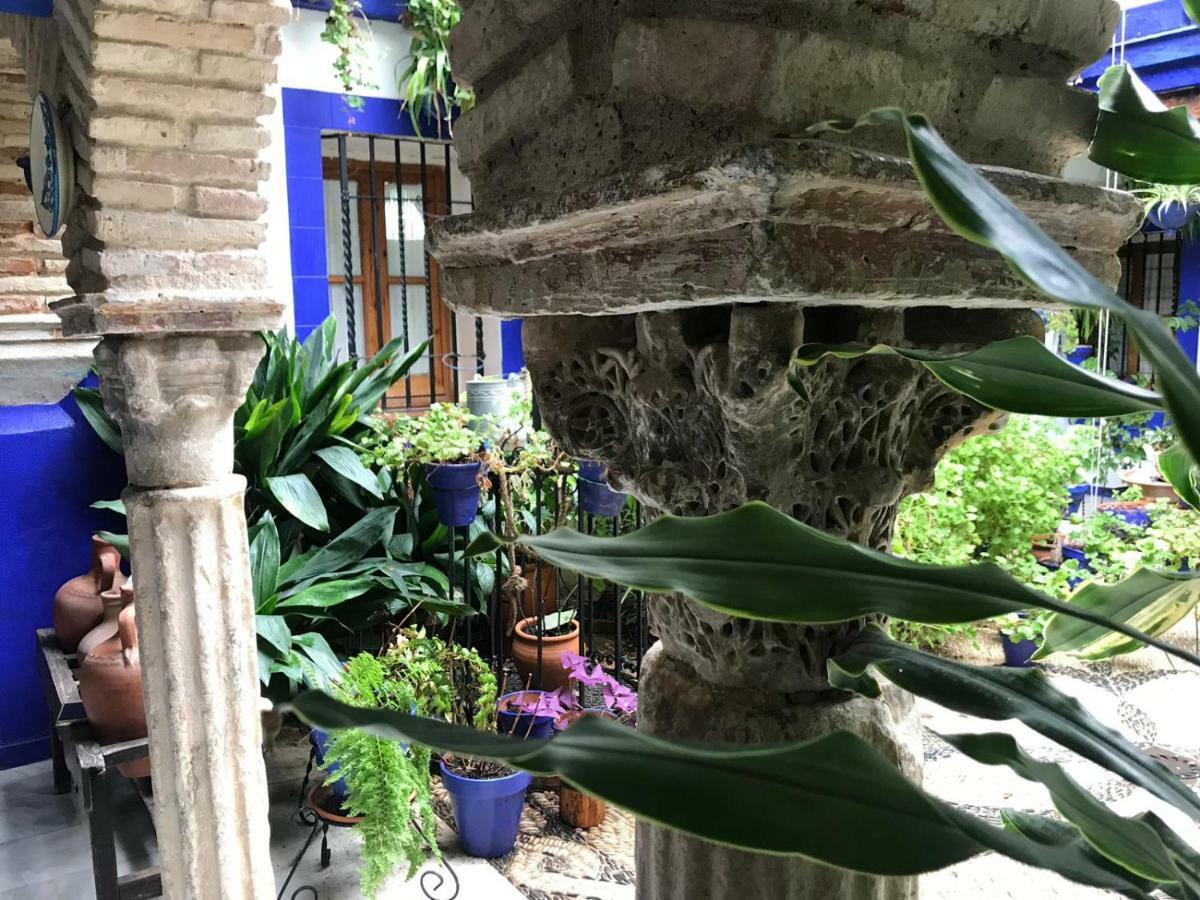 Alojamiento Casa Tipica De Córdoba Exteriér fotografie